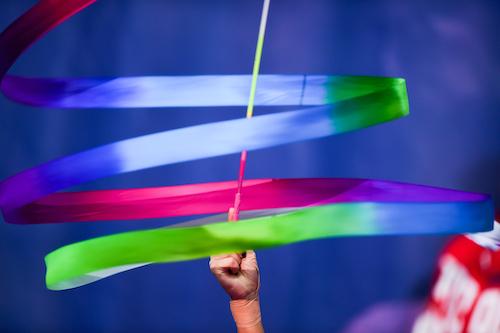 Художественная гимнастика. ВС "Памяти Заслуженного тренера СССР Е.А. Облыгиной" 2025