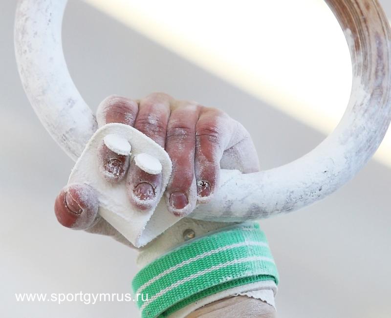 Команда из Донецка по спортивной гимнастике выступила на Первенстве Пензенской области